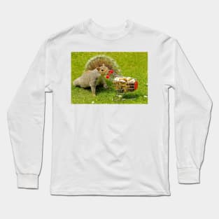 Squirrel with shopping trolley cart stocking up for winter . Long Sleeve T-Shirt